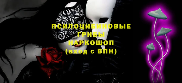 Альфа ПВП Ладушкин