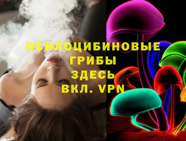 PSILOCYBIN Лагань