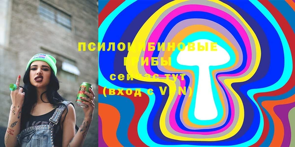 PSILOCYBIN Лагань