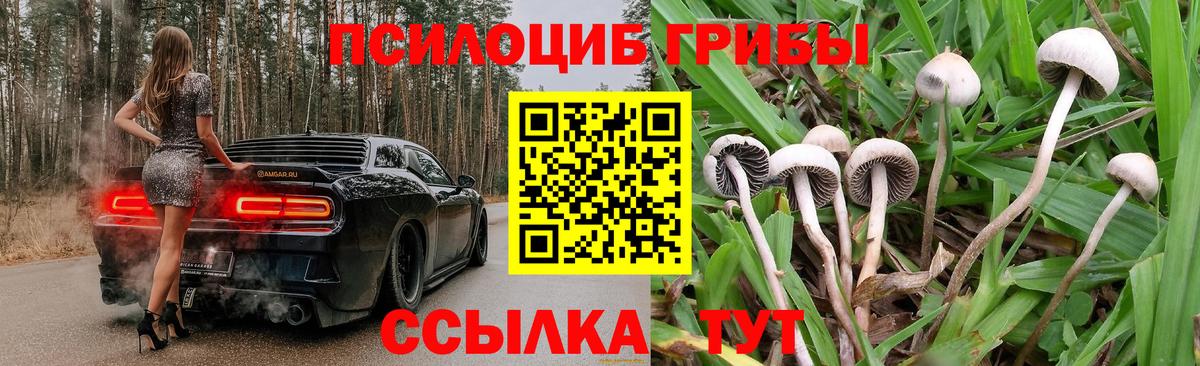 Галлюциногенные грибы MAGIC MUSHROOMS Ханты-Мансийск