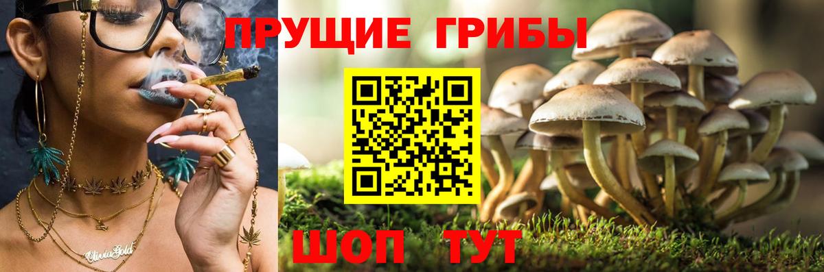 Ханты-Мансийск  Псилоцибиновые грибы Cubensis  Вход с VPN 