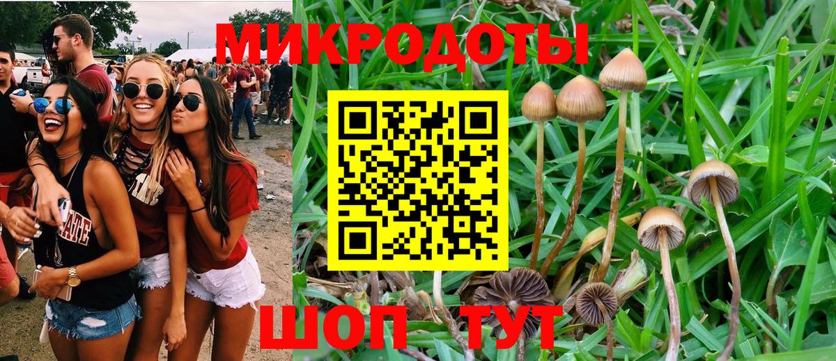 Галлюциногенные грибы ЛСД  Ханты-Мансийск  купить   Галлюциногенные грибы Magic Shrooms 
